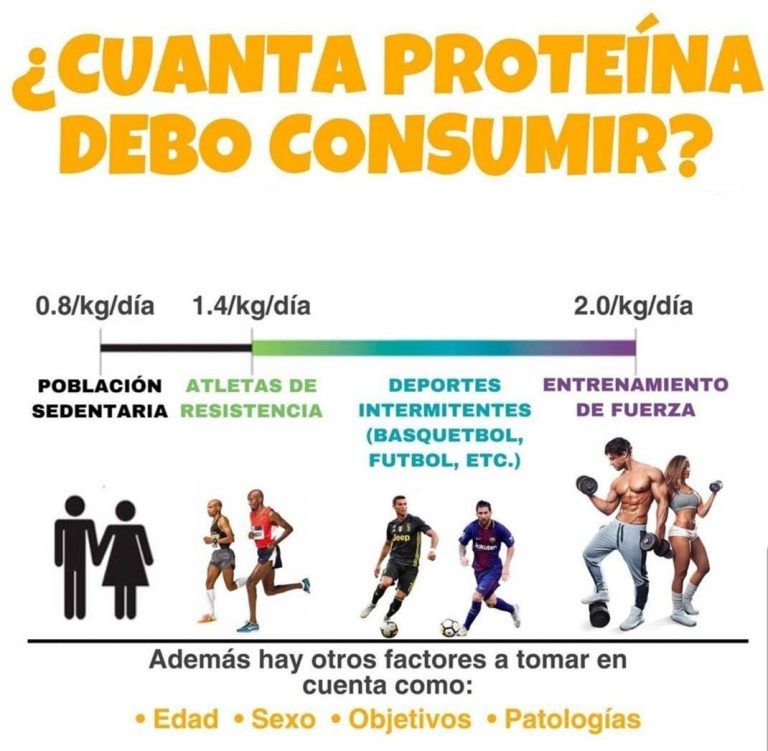 ¿cuánta Proteína Necesito Para Construir Músculo 💪🤔emk 8558