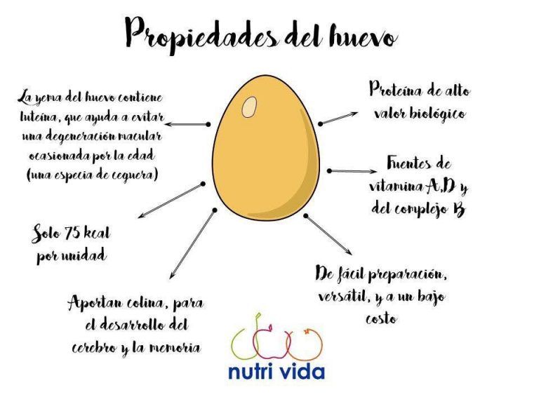 ¿cuántas Proteínas Tiene Un Huevo Deja De Tirar Las Yemas 😱emk 3115