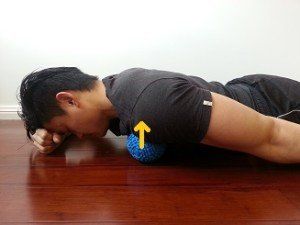 ejercicios para hipercifosis liberar musculos pecho